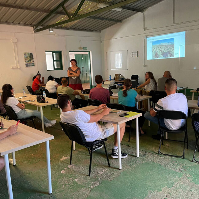 Fundación Canaria Centro Internacional de Agricultura Biológica (CIAB)